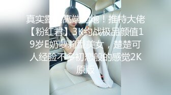 江南之城金融女