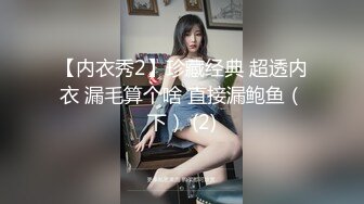 【内衣秀2】珍藏经典 超透内衣 漏毛算个啥 直接漏鲍鱼（下） (2)