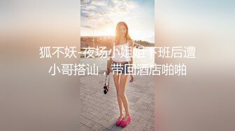 STP20285 【超推荐会尊享】麻豆传媒特别企划新作-乘风破浪的女优 C位出演无价之姐AV 爆乳女神雪千夏