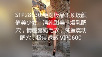 叶桐大尺度私拍套图+1080P原版视频[175P+19V/4.05G]