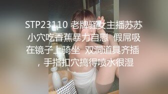 天美传媒最新出品TM0099情侣出游互换女友-陳以萱