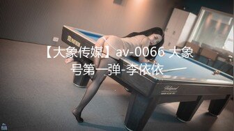 【大象传媒】av-0066 大象号第一弹-李依依