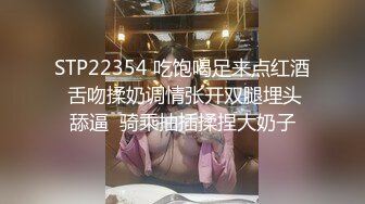 超棒身材淫荡骚女，网状性感情趣内衣，黑灰丝袜细长美腿，跳蛋塞入多毛骚逼，骑在枕头上磨蹭，高潮脸很享受