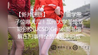 女仆的日常，给主人清理肉棒