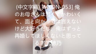 エッチな0930 甲野李乃