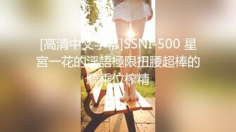 [高清中文字幕]SSNI-500 星宮一花的淫語極限扭腰超棒的騎乘位榨精