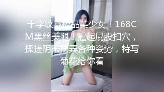 【新片速遞】  2024-7-8 新流出酒店偷拍❤️高冷美妞半推半就笑着被老哥扯下小内内在床边草