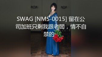 SWAG [NMS-0015] 留在公司加班只剩我跟老闆，情不自禁的⋯