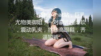 ❤️❤️❤️ Stripchat站，巨乳尤物美御姐，一对豪乳超柔软，震动乳夹，丝袜高跟鞋，齐逼短裤