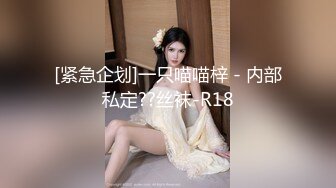 [紧急企划]一只喵喵梓 - 内部私定??丝袜-R18