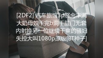 [2DF2] 汽车旅馆3p怒肏丰满大奶母奴干完b洞干肛门无套内射换另一位继续干爽的骚妇失控大叫1080p原版[BT种子]