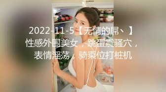 2022-11-5【无情的屌丶】性感外围美女，跳蛋震骚穴，表情淫荡，骑乘位打桩机