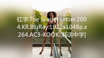 红字.The Scarlet Letter.2004.KR.BluRay.1912x1048p.x264.AC3-KOOK.[韩语中字]