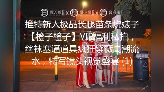 推特新人极品长腿苗条烧婊子【橙子橙子】VIP福利私拍，丝袜塞逼道具疯狂紫薇高潮流水，特写镜头视觉盛宴 (1)