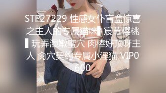 STP27229 性感女仆盲盒惊喜之主人的专属猫咪▌宸荨樱桃▌玩弄湿嫩蜜穴 肉棒好顶呀主人 肏穴契约专属小淫猫 VIP0600