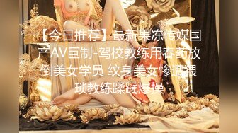 国产AV 大象传媒 淫荡人妻家政妇