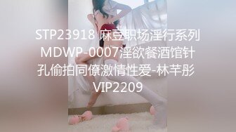 STP23918 麻豆职场淫行系列MDWP-0007淫欲餐酒馆针孔偷拍同僚激情性爱-林芊彤 VIP2209