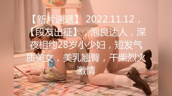 【新片速遞】 2022.11.12，【段友出征】，泡良达人，深夜相约28岁小少妇，短发气质美女，美乳翘臀，干柴烈火激情