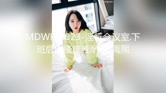 MDWP-0023-淫行会议室.下班后的搔痒难耐-夏禹熙