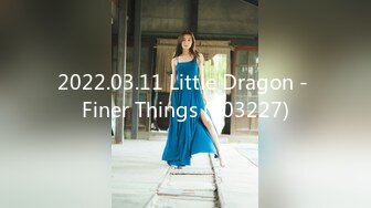 2022.03.11 Little Dragon - Finer Things (103227)